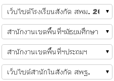 เมนู drop down