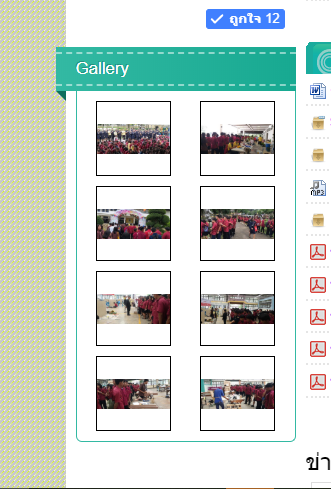 ในหน้า Gallery อยากให้ครอปขอบข้างภาพออก ให้เต็มรูป