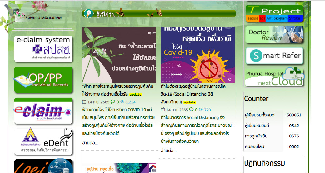 ขยาย icon widget แสดงหน้าแรก